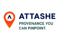 Attashe